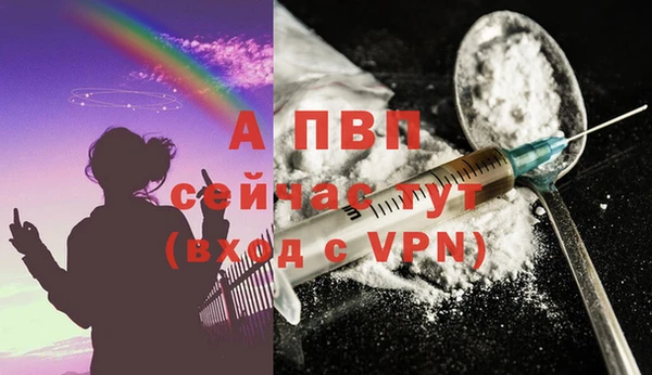 apvp Богородицк